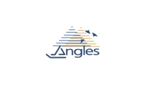 Angles, société de consulting