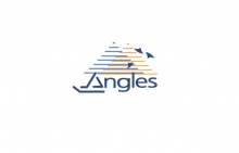 Angles, société de consulting